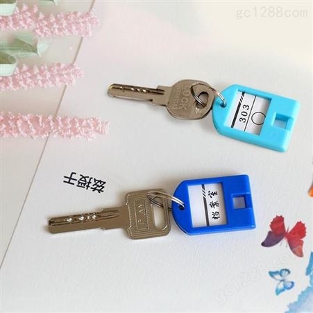 得印(befon) 彩色钥匙牌 钥匙扣钥匙管理箱专用钥匙标签牌子 钥匙环钥匙圈 24个装 办公用品9831