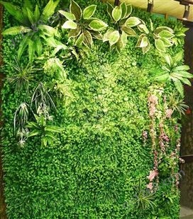 jinsen46仿真植物墙工程 大型仿真植物墙 室外仿真植物墙价格 仿真植物墙