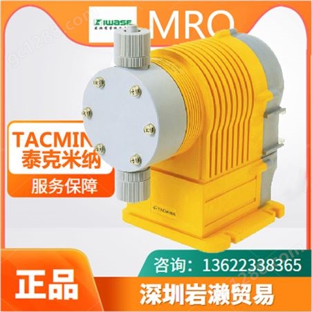 【岩濑】电动驱动计量泵PZiG-1000-1000 日本tacmina泰克米纳