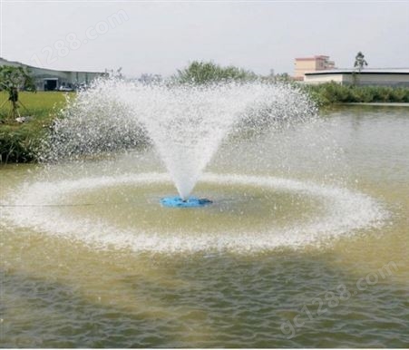 诚净厂家定制CJPQ0.75KW喷泉曝气机,360污水处理增氧曝气