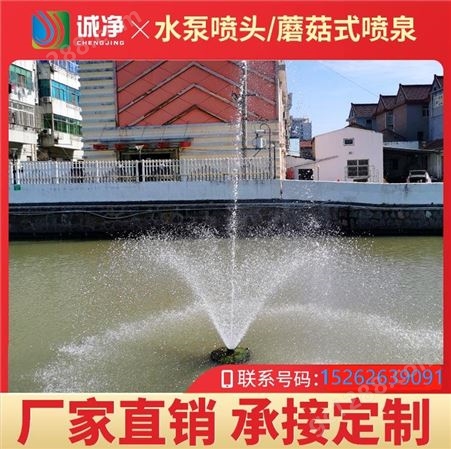 CJ-PQ诚净喷泉曝气机专业定制,水产养殖河道水体修复用喷泉增氧机