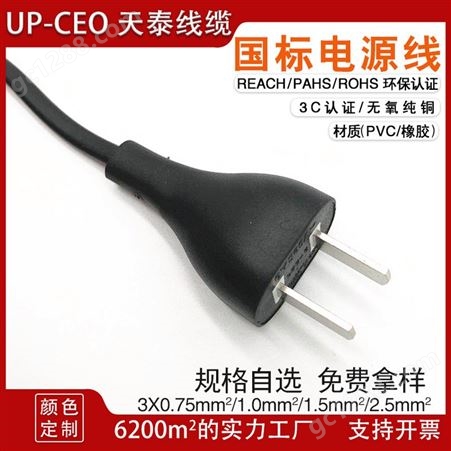 供应两芯直头中国插头线 小米国标电源线 二极CCC电源插头