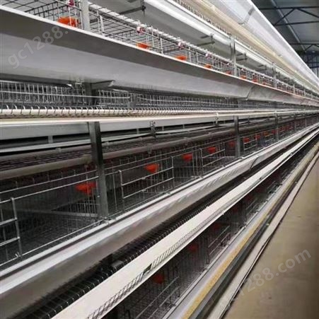 鸡笼设备_易展养殖设备_层叠式笼养设备_工厂订购
