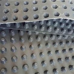 HDPE蓄排水板 凹凸型排水板 塑料疏水板 蓄排水板