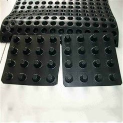 排水板 塑料排水板 HDPE绿化疏水板