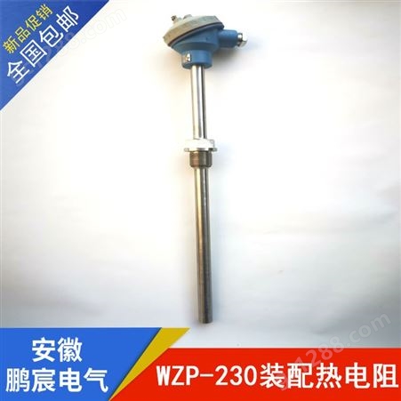 WZP-230装配热电阻 M27*2螺纹 Pt100温度传感器