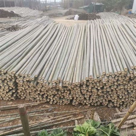 毛竹 大量供应建筑工地使用现货菜架竹 毛竹片