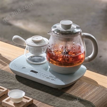 小熊养生壶家用多功能玻璃茶壶蒸汽煮茶器全自动普洱黑茶壶泡茶炉