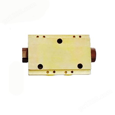 FDS100/40液压双向锁油缸端管式液压锁 工程机械方形双向液压 锁