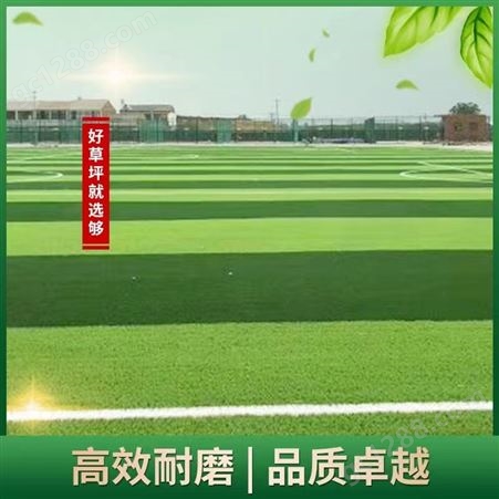 足球场草皮 人造草坪 俱乐部用 围挡绿化墙 五人制 全国施工
